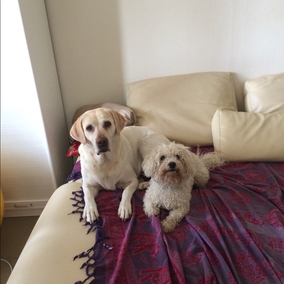 Meet your Posher, Shinya - Picture 1 of 1